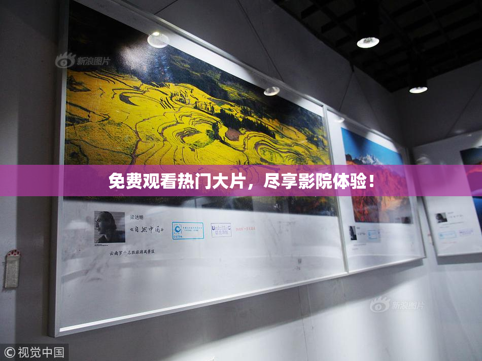 免费观看热门大片，尽享影院体验！