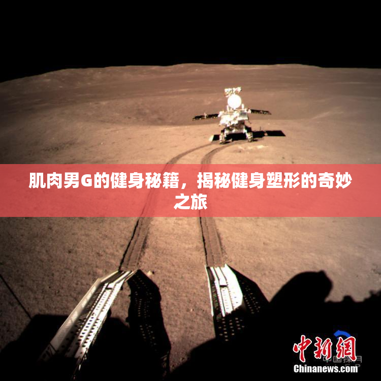肌肉男G的健身秘籍，揭秘健身塑形的奇妙之旅
