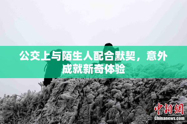 公交上与陌生人配合默契，意外成就新奇体验
