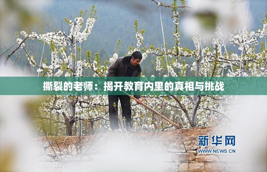 撕裂的老师：揭开教育内里的真相与挑战