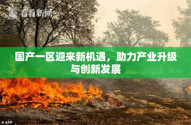 国产一区迎来新机遇，助力产业升级与创新发展