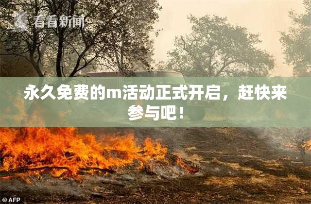 永久免费的m活动正式开启，赶快来参与吧！