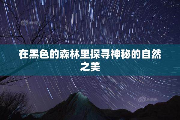 在黑色的森林里探寻神秘的自然之美