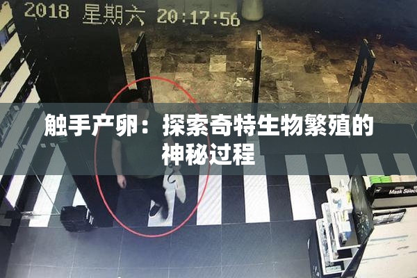 触手产卵：探索奇特生物繁殖的神秘过程