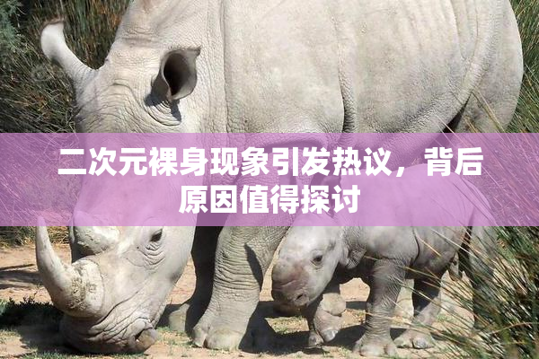 二次元裸身现象引发热议，背后原因值得探讨
