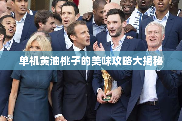 单机黄油桃子的美味攻略大揭秘