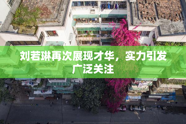刘若琳再次展现才华，实力引发广泛关注