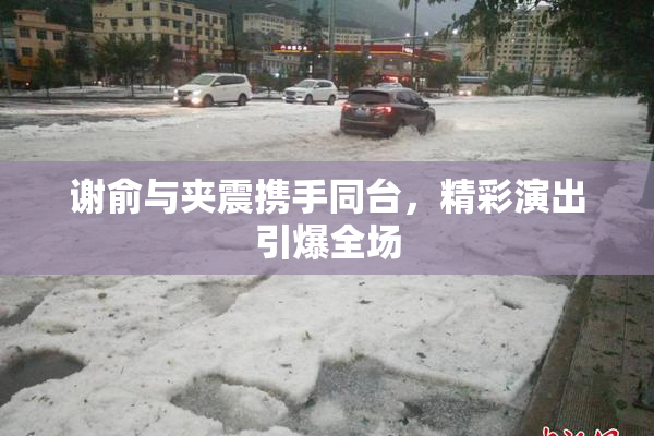 谢俞与夹震携手同台，精彩演出引爆全场