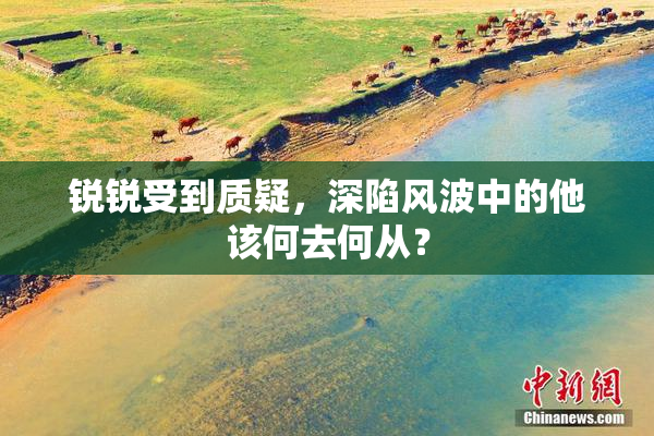 锐锐受到质疑，深陷风波中的他该何去何从？
