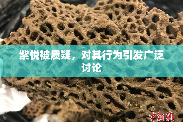 紫悦被质疑，对其行为引发广泛讨论