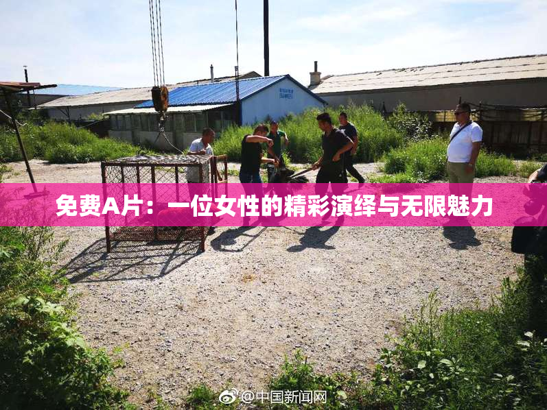 免费A片：一位女性的精彩演绎与无限魅力