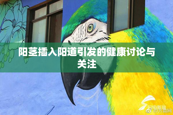 阳茎插入阳道引发的健康讨论与关注