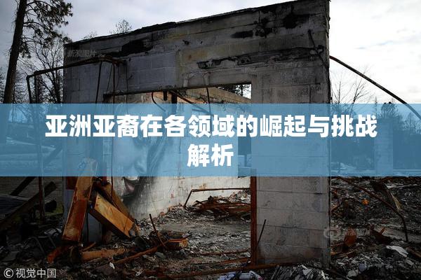 亚洲亚裔在各领域的崛起与挑战解析
