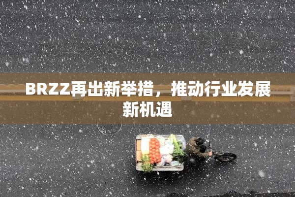 BRZZ再出新举措，推动行业发展新机遇