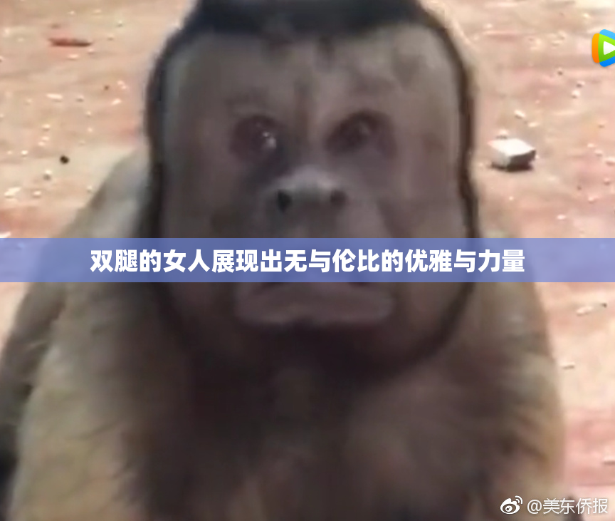 双腿的女人展现出无与伦比的优雅与力量