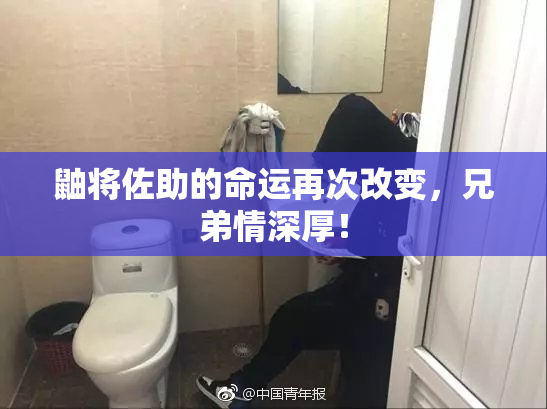 鼬将佐助的命运再次改变，兄弟情深厚！
