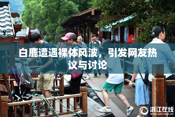 白鹿遭遇裸体风波，引发网友热议与讨论