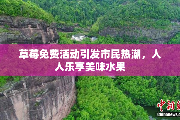 草莓免费活动引发市民热潮，人人乐享美味水果