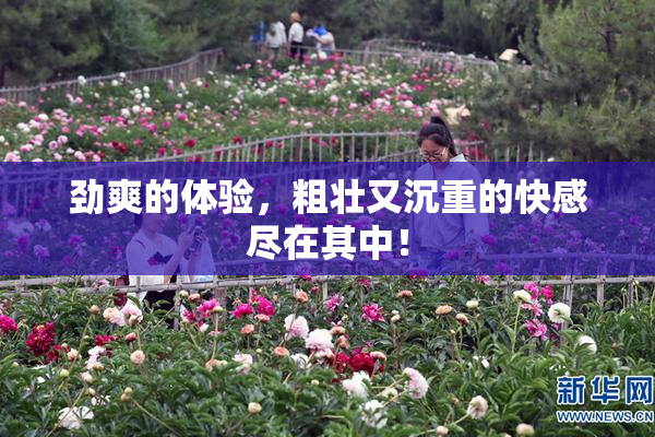 劲爽的体验，粗壮又沉重的快感尽在其中！