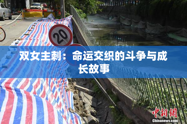 双女主刺：命运交织的斗争与成长故事