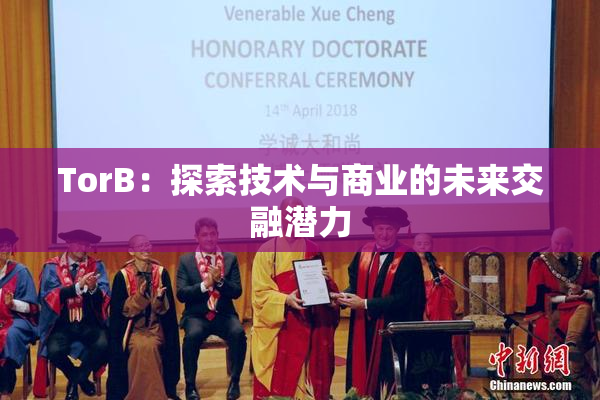 TorB：探索技术与商业的未来交融潜力