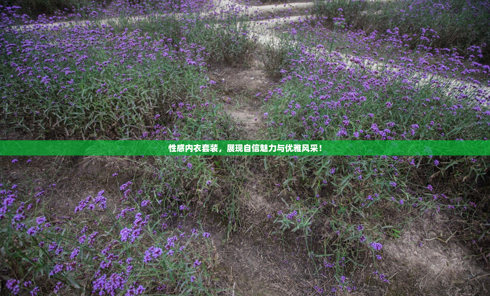 性感内衣套装，展现自信魅力与优雅风采！
