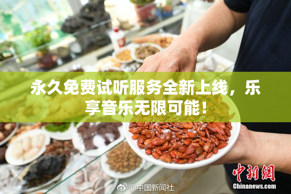 永久免费试听服务全新上线，乐享音乐无限可能！