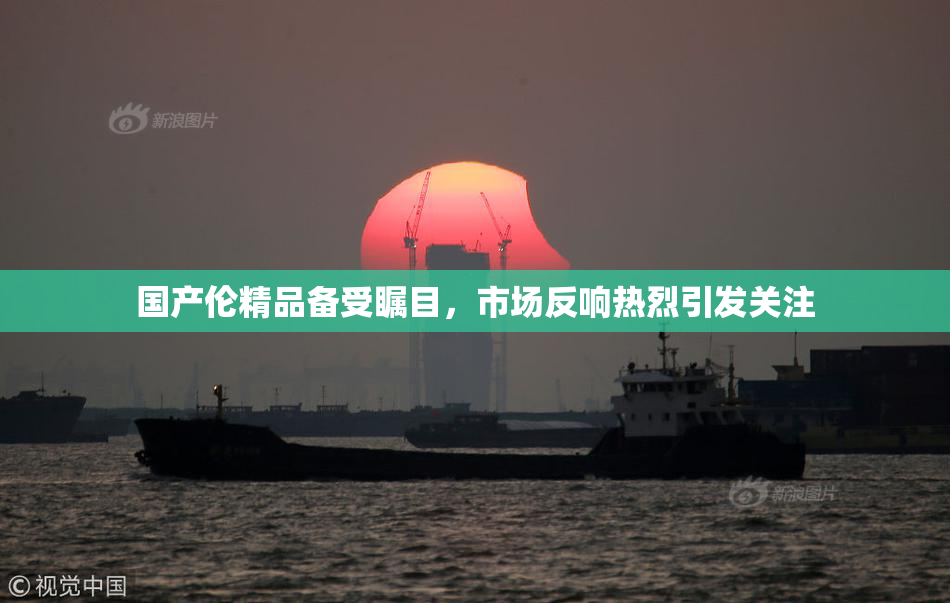 国产伦精品备受瞩目，市场反响热烈引发关注