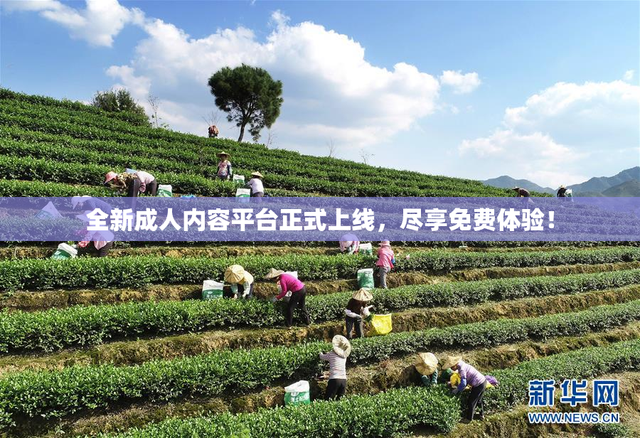 全新成人内容平台正式上线，尽享免费体验！