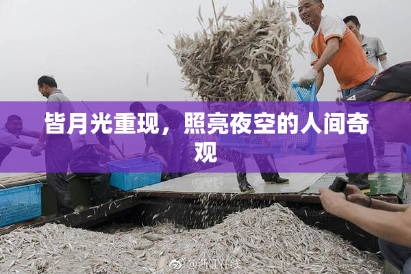 皆月光重现，照亮夜空的人间奇观