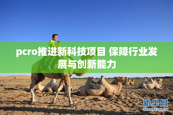pcro推进新科技项目 保障行业发展与创新能力