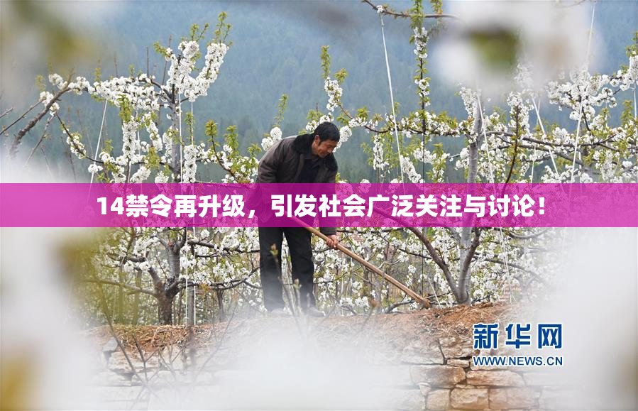 14禁令再升级，引发社会广泛关注与讨论！