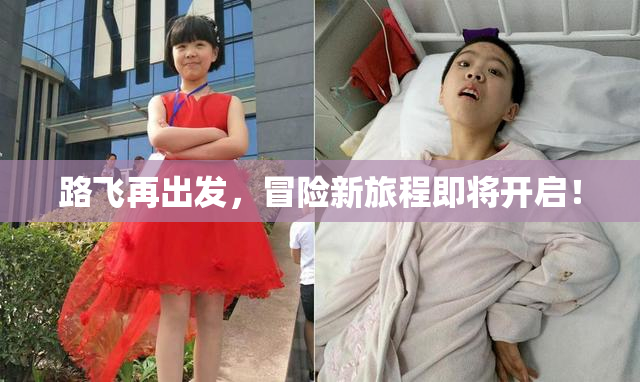 路飞再出发，冒险新旅程即将开启！