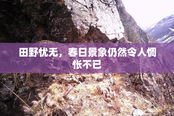田野忧无，春日景象仍然令人惆怅不已