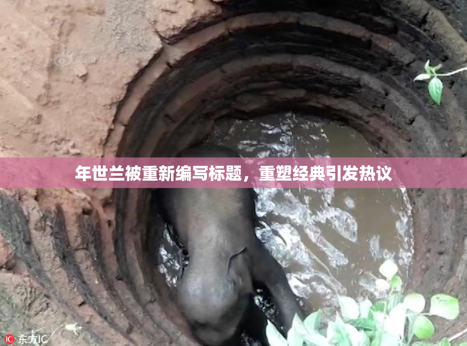 年世兰被重新编写标题，重塑经典引发热议