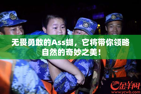 无畏勇敢的Ass蝴，它将带你领略自然的奇妙之美！
