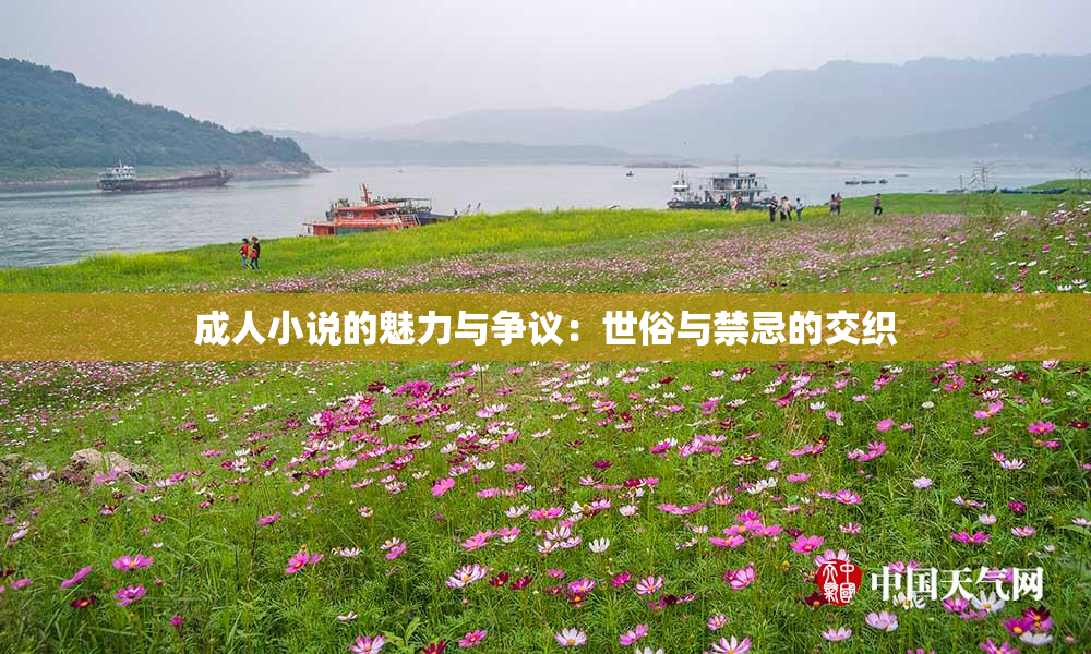 成人小说的魅力与争议：世俗与禁忌的交织