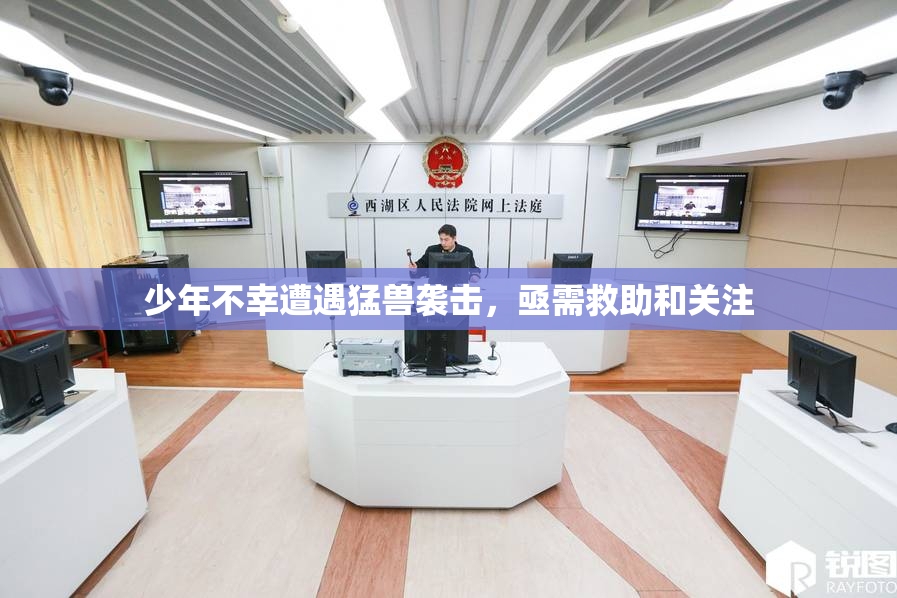 少年不幸遭遇猛兽袭击，亟需救助和关注