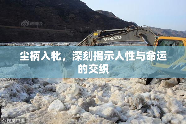 尘柄入牝，深刻揭示人性与命运的交织
