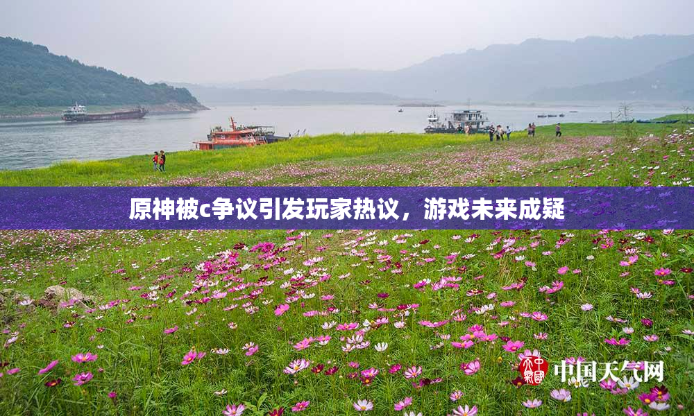原神被c争议引发玩家热议，游戏未来成疑