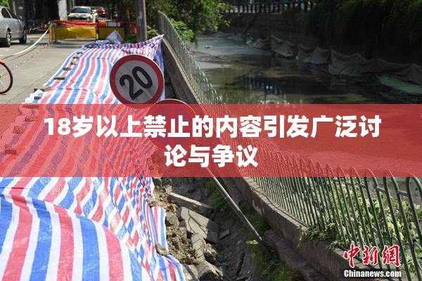 18岁以上禁止的内容引发广泛讨论与争议