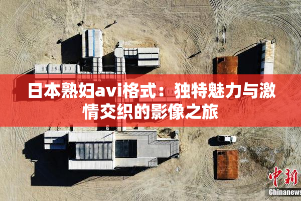 日本熟妇avi格式：独特魅力与激情交织的影像之旅