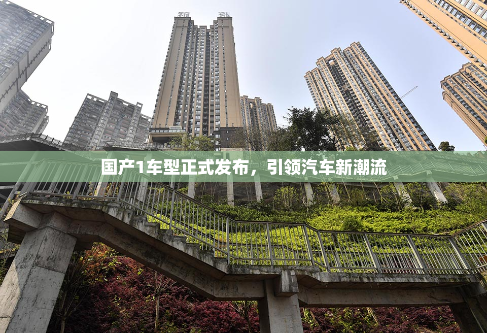 国产1车型正式发布，引领汽车新潮流