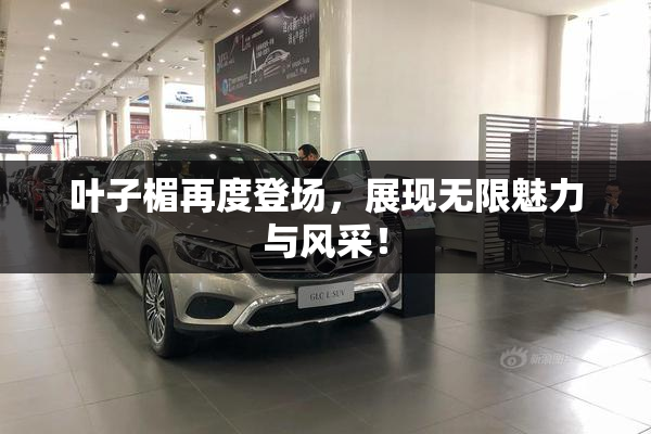 叶子楣再度登场，展现无限魅力与风采！