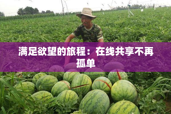 满足欲望的旅程：在线共享不再孤单