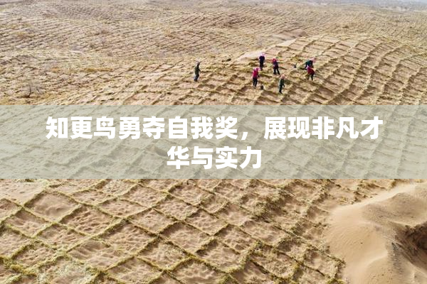 知更鸟勇夺自我奖，展现非凡才华与实力
