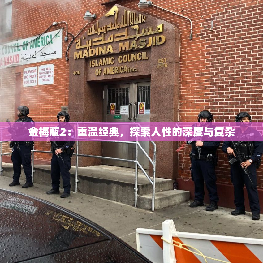 金梅瓶2：重温经典，探索人性的深度与复杂