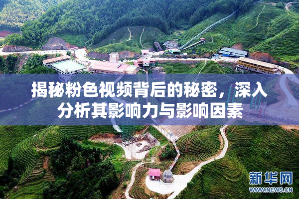 揭秘粉色视频背后的秘密，深入分析其影响力与影响因素