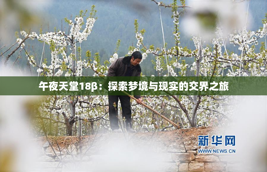 午夜天堂18β：探索梦境与现实的交界之旅
