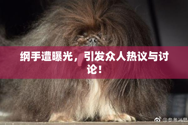 纲手遭曝光，引发众人热议与讨论！